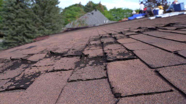 Best Skylight Installation and Repair  in Kaunakakai, HI